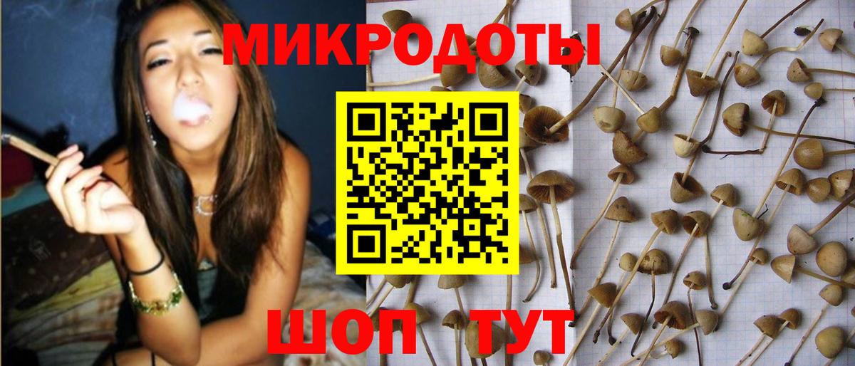 Псилоцибиновые грибы ЛСД  где продают   Сочи  Вход с VPN 