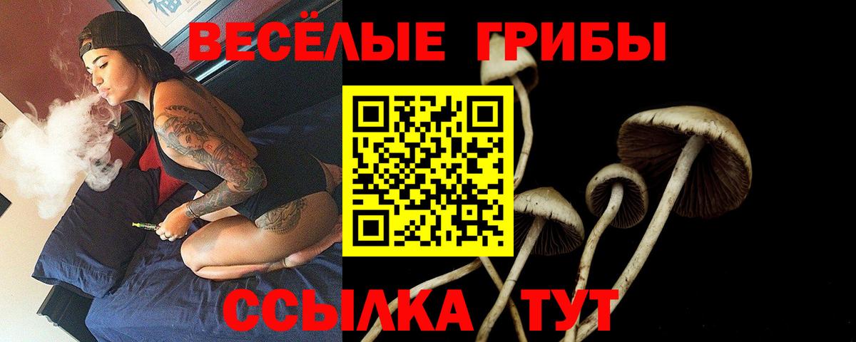 Галлюциногенные грибы мицелий Сочи