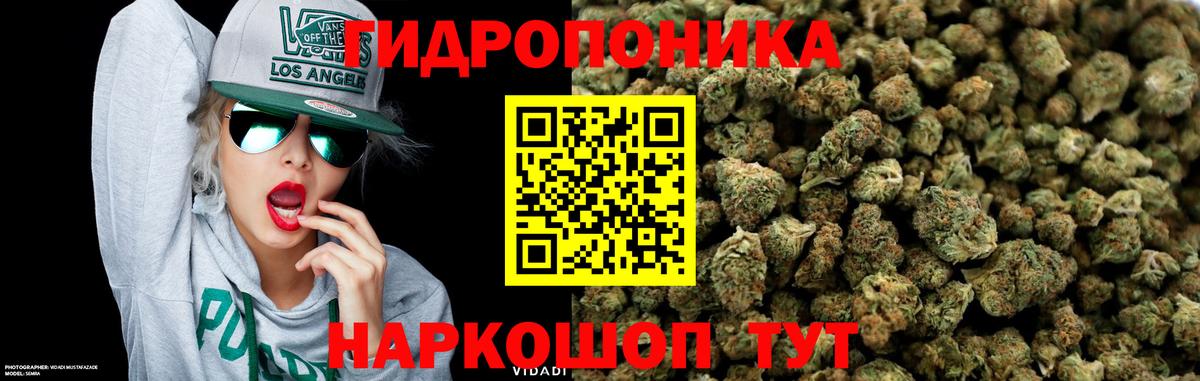 Сочи  Канабис сатива  Конопля White Widow  Вход с VPN  Канабис MAZAR  Бошки Шишки White Widow 
